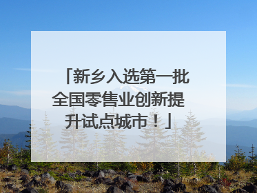 新乡入选第一批全国零售业创新提升试点城市！