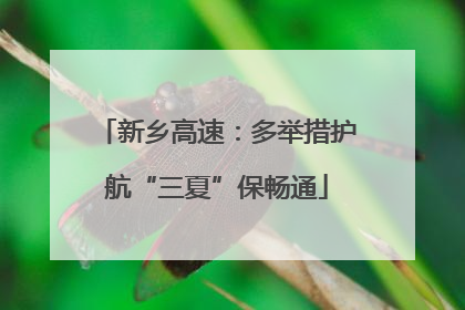 新乡高速：多举措护航“三夏”保畅通