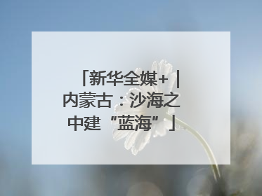 新华全媒+｜内蒙古：沙海之中建“蓝海”