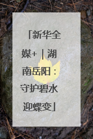 新华全媒+｜湖南岳阳：守护碧水迎蝶变