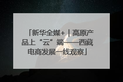 新华全媒+｜高原产品上“云”端——西藏电商发展一线观察