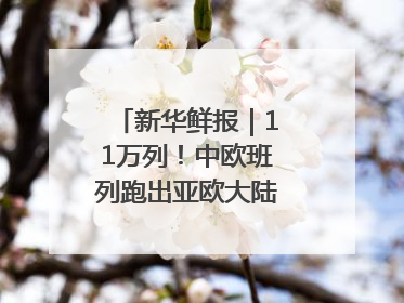 新华鲜报｜11万列！中欧班列跑出亚欧大陆“新时速”