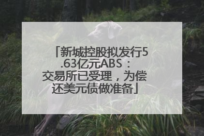 新城控股拟发行5.63亿元ABS：交易所已受理，为偿还美元债做准备