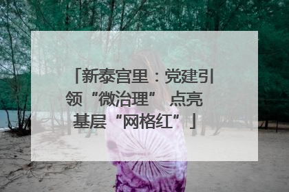 新泰宫里：党建引领“微治理” 点亮基层“网格红”