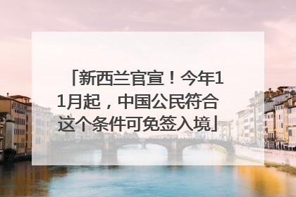 新西兰官宣！今年11月起，中国公民符合这个条件可免签入境