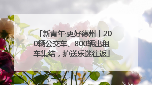 新青年·更好德州丨200辆公交车、800辆出租车集结，护送乐迷往返