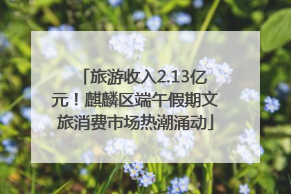 旅游收入2.13亿元！麒麟区端午假期文旅消费市场热潮涌动