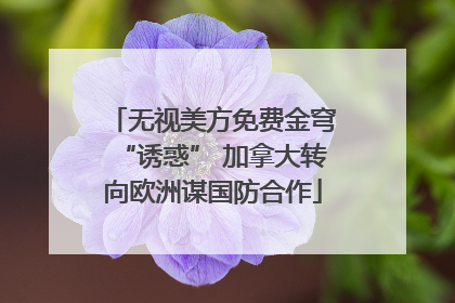 无视美方免费金穹“诱惑” 加拿大转向欧洲谋国防合作