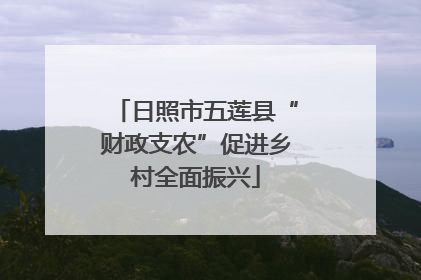 日照市五莲县“财政支农”促进乡村全面振兴