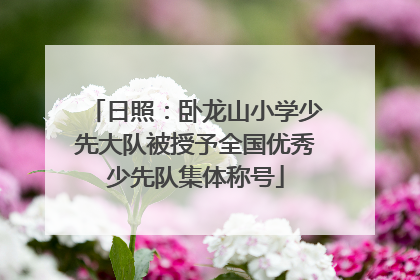 日照：卧龙山小学少先大队被授予全国优秀少先队集体称号