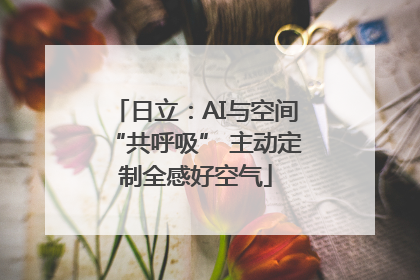 日立：AI与空间“共呼吸” 主动定制全感好空气