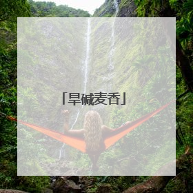 旱碱麦香