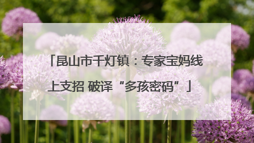 昆山市千灯镇：专家宝妈线上支招 破译“多孩密码”