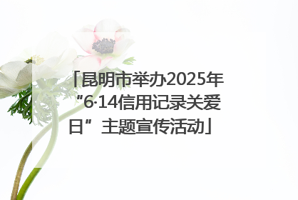 昆明市举办2025年“6·14信用记录关爱日”主题宣传活动