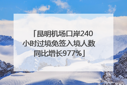 昆明机场口岸240小时过境免签入境人数同比增长977%