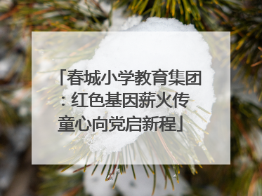 春城小学教育集团：红色基因薪火传 童心向党启新程