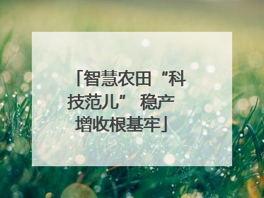 智慧农田“科技范儿” 稳产增收根基牢