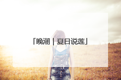 晚潮｜夏日说莲