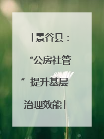 景谷县：“公房社管”提升基层治理效能