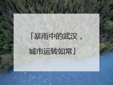 暴雨中的武汉，城市运转如常