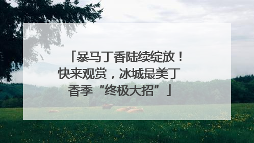 暴马丁香陆续绽放！快来观赏，冰城最美丁香季“终极大招”