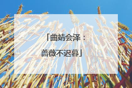 曲靖会泽：蔷薇不迟暮