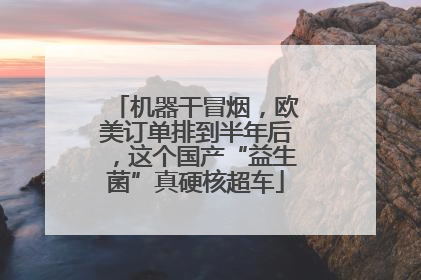 机器干冒烟，欧美订单排到半年后，这个国产“益生菌”真硬核超车