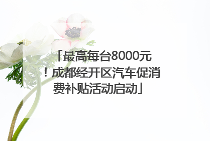 最高每台8000元！成都经开区汽车促消费补贴活动启动