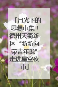 月光下的思想市集！德州天衢新区“新新向荣青年说”走进星空夜市