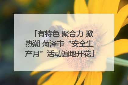 有特色 聚合力 掀热潮 菏泽市“安全生产月”活动遍地开花