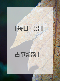 每日一景丨 古筝新韵