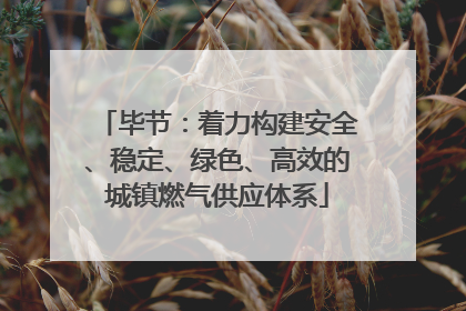 毕节：着力构建安全、稳定、绿色、高效的城镇燃气供应体系