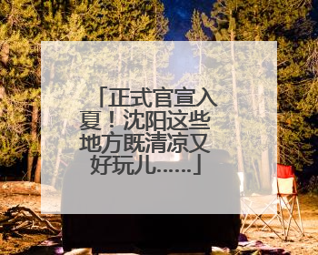 正式官宣入夏！沈阳这些地方既清凉又好玩儿……