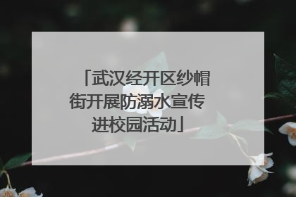 武汉经开区纱帽街开展防溺水宣传进校园活动