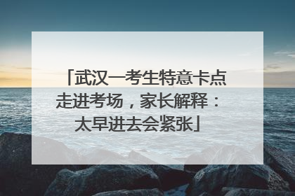 武汉一考生特意卡点走进考场，家长解释：太早进去会紧张