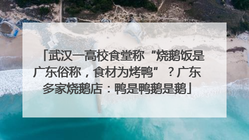 武汉一高校食堂称“烧鹅饭是广东俗称，食材为烤鸭”？广东多家烧鹅店：鸭是鸭鹅是鹅