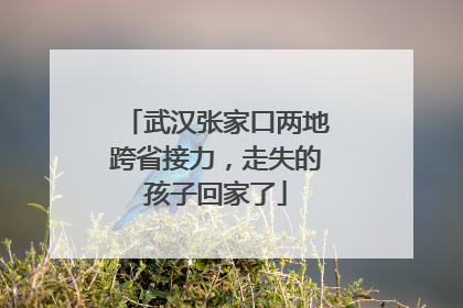 武汉张家口两地跨省接力，走失的孩子回家了