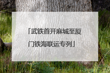武铁首开麻城至厦门铁海联运专列
