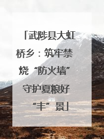 武陟县大虹桥乡：筑牢禁烧“防火墙” 守护夏粮好“丰”景