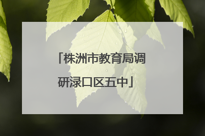 株洲市教育局调研渌口区五中
