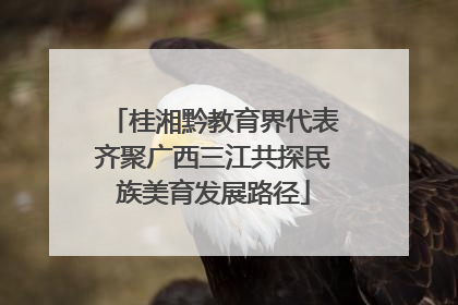 桂湘黔教育界代表齐聚广西三江共探民族美育发展路径