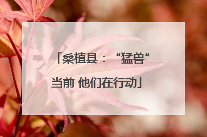 桑植县：“猛兽”当前 他们在行动