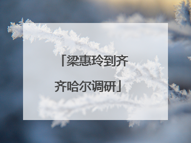 梁惠玲到齐齐哈尔调研