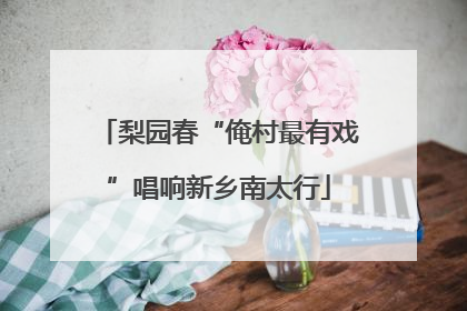 梨园春“俺村最有戏”唱响新乡南太行