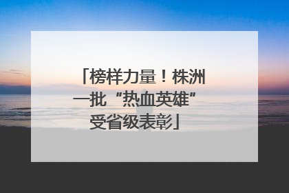 榜样力量！株洲一批“热血英雄”受省级表彰