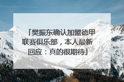 樊振东确认加盟德甲联赛俱乐部，本人最新回应：真的很期待
