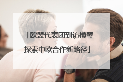 欧盟代表团到访横琴 探索中欧合作新路径