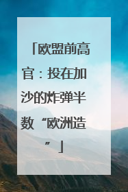 欧盟前高官：投在加沙的炸弹半数“欧洲造”