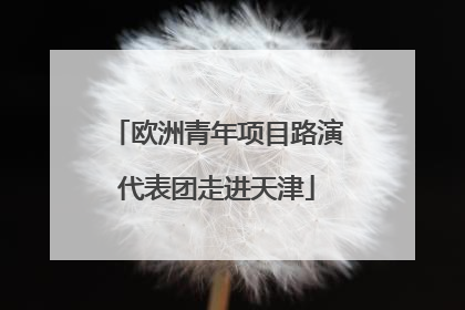欧洲青年项目路演代表团走进天津