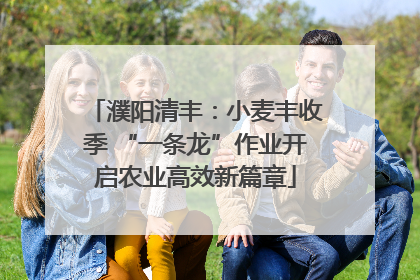 濮阳清丰：小麦丰收季 “一条龙”作业开启农业高效新篇章